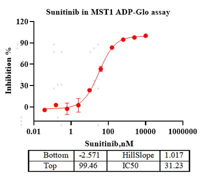MST1 GST Tag Protein,Human