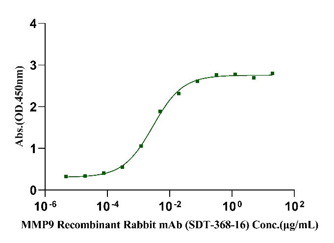 MMP-9(20-469) His Tag Protein, Cynomolgus