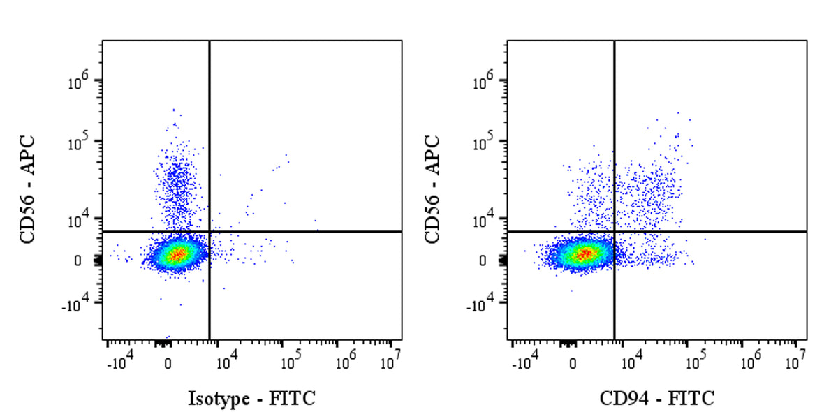 FITC Rabbit Anti-Human CD94 Antibody (S-2616-17)