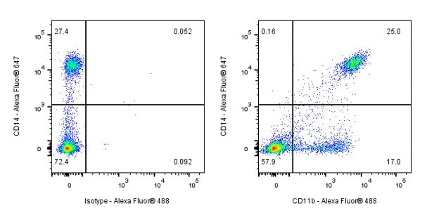 Mouse Anti-Human CD11b Antibody