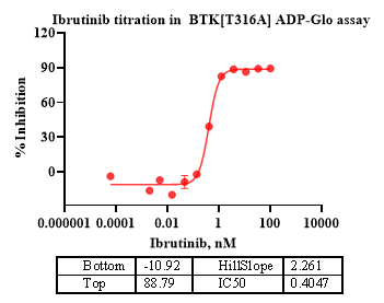 BTK[T316A] Protein