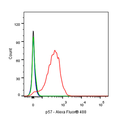 p57 Recombinant Rabbit mAb (SDT-191-79)
