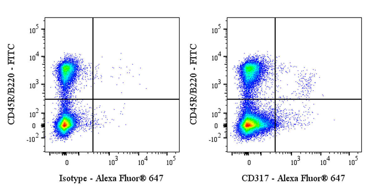 Invivo anti-Mouse CD317 (BST2, PDCA-1) Recombinant mAb