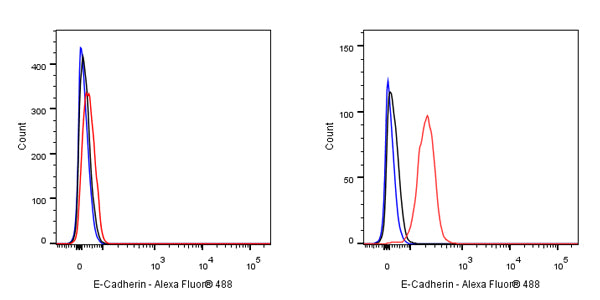 S-RMab® E-Cadherin Recombinant Rabbit mAb (SDT-438-5)