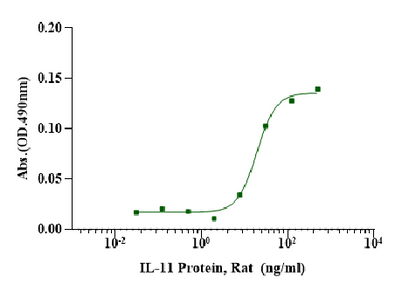 IL-11 Protein, Rat