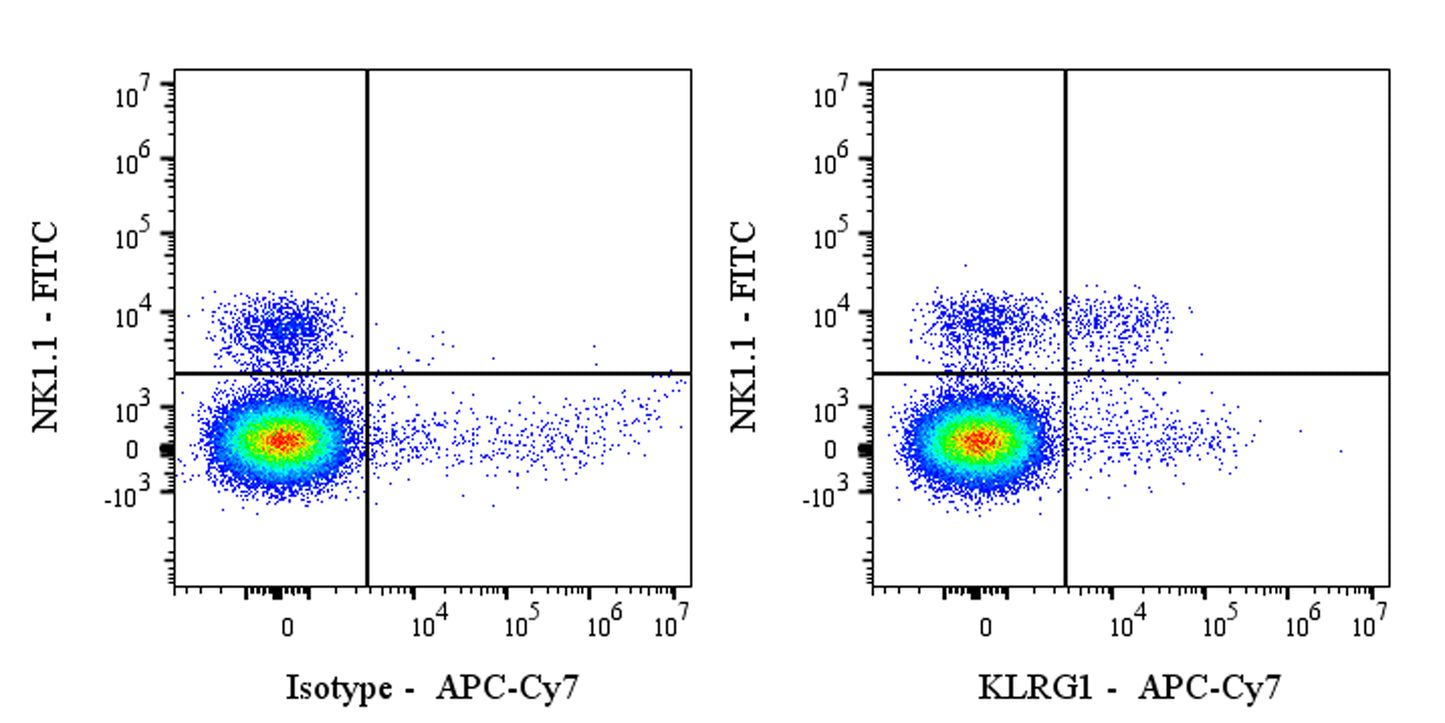 APC-Cy7 Armenian hamster Anti-Mouse/Human KLRG1 Antibody (2F1)