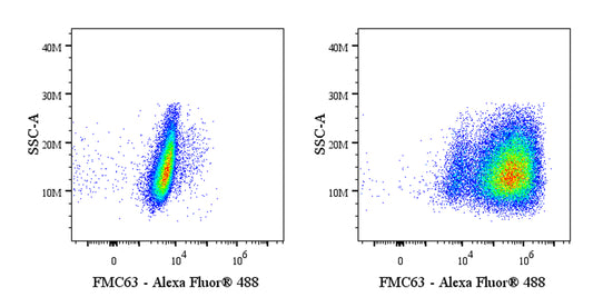 Anti-FMC63 Recombinant Rabbit mAb (S-2163-53)