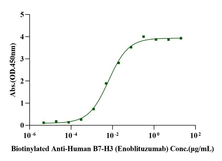 B7-H3/CD276 Fc Chimera Protein, Human