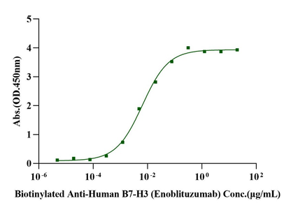 B7-H3/CD276 Fc Chimera Protein, Human