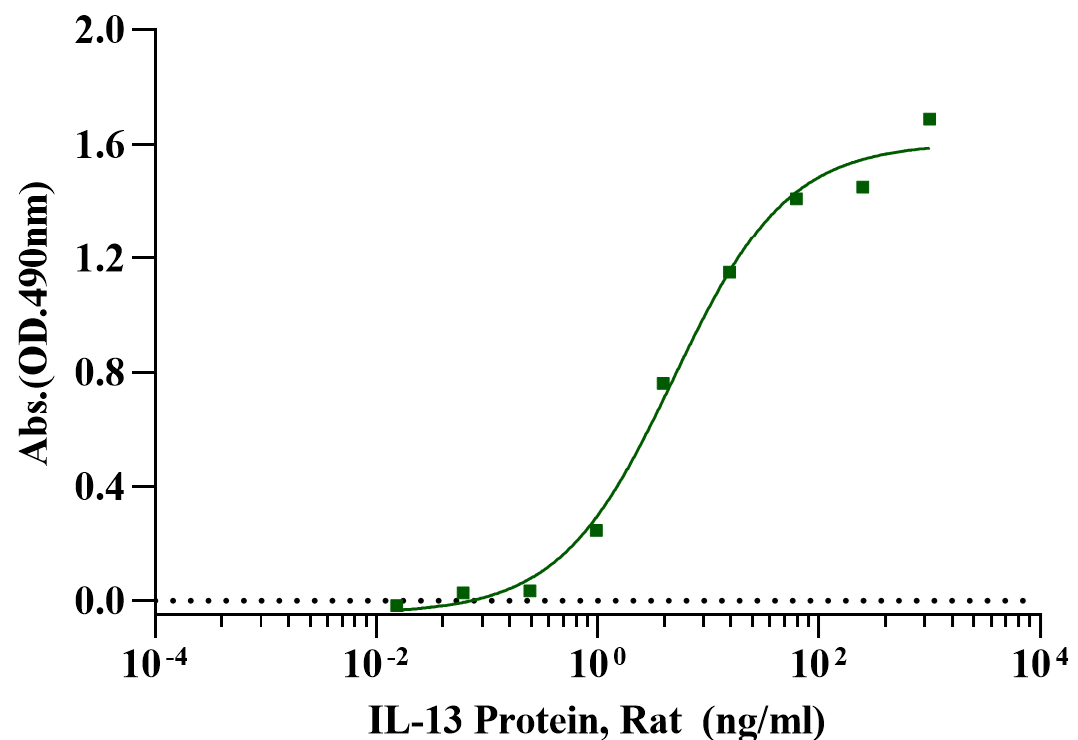 IL-13 Protein, Rat
