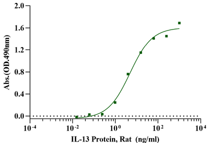 IL-13 Protein, Rat