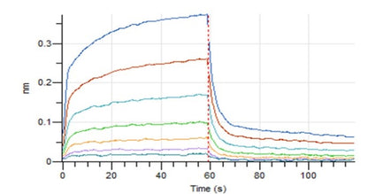 PD-L1 His Tag Protein, Human