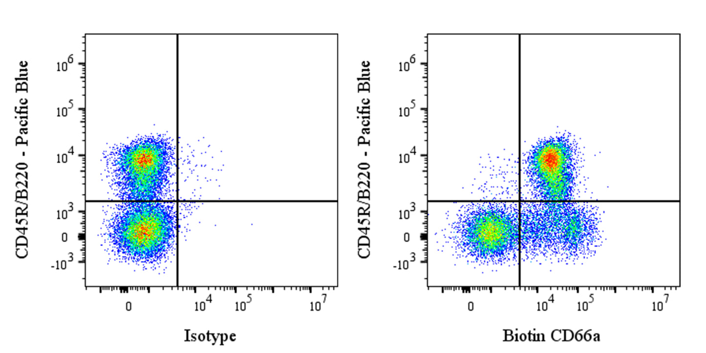 Biotin Mouse Anti-Mouse CD66a Antibody (S-3301)
