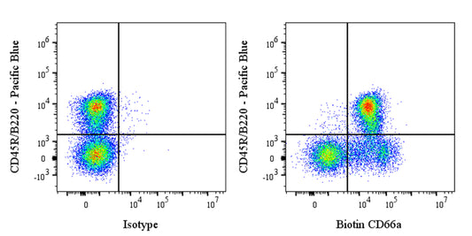 Biotin Mouse Anti-Mouse CD66a Antibody (S-3301)
