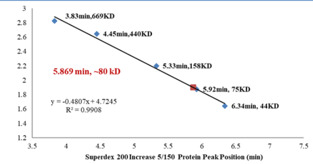 CDK1/Cyclin A2 Protein