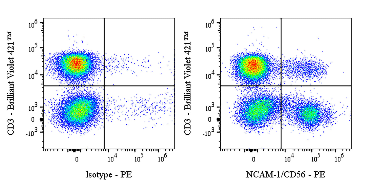 PE Mouse Anti-Human NCAM-1/CD56 Antibody (S-577-58)