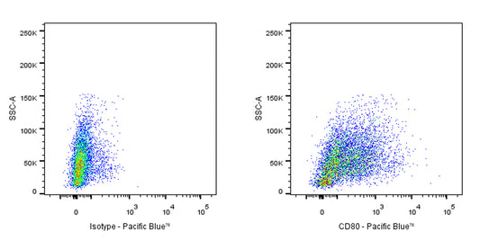 Pacific Blue Armenian hamster Anti-Mouse CD80 Antibody (16-10A1)