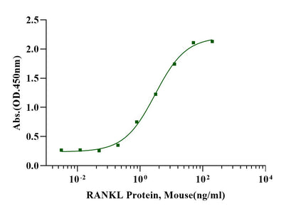 TNFSF11/RANKL Fc Chimera Protein, Human