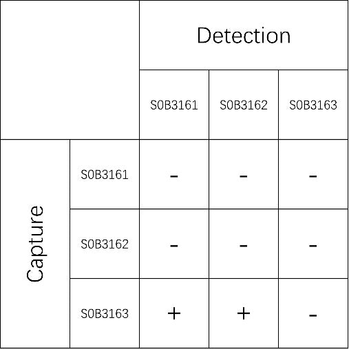 Feline Leukemia Virus p27 Recombinant Rabbit mAb (SDT-597-56)