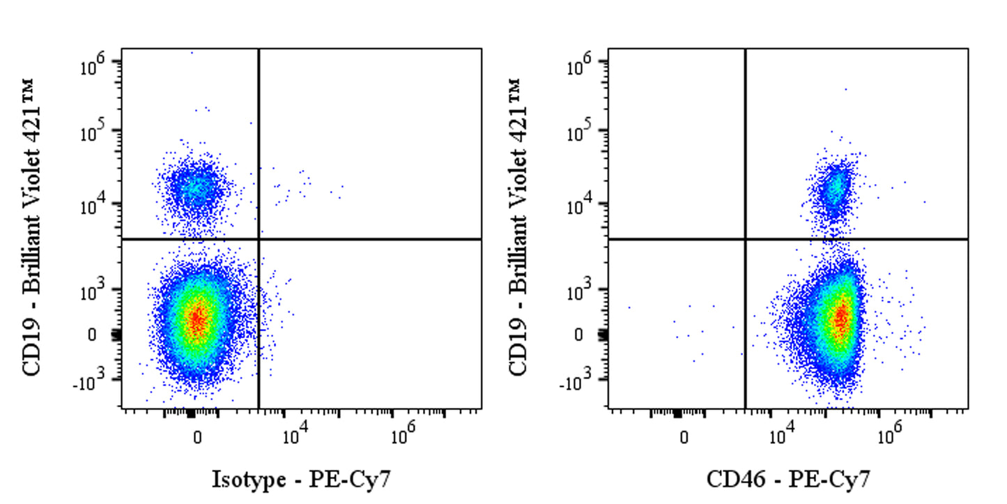 PE-Cy7 Mouse Anti-Human CD46 Antibody (S-3061)