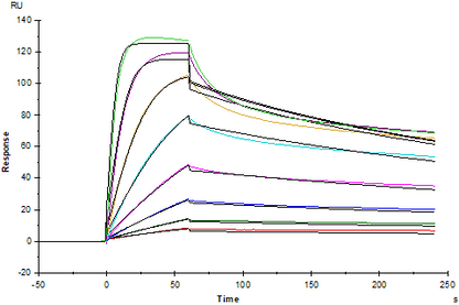IL-33 Protein, Human