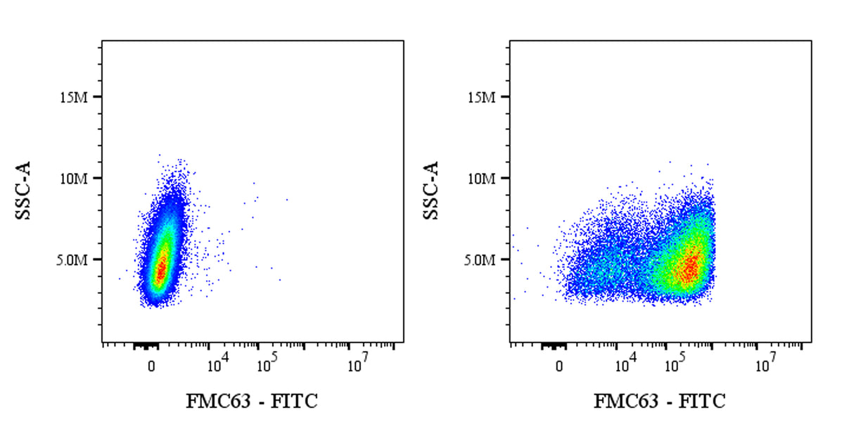 FMC63 Recombinant Rabbit mAb (FITC Conjugate) (S-2163-30)