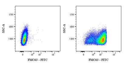 FMC63 Recombinant Rabbit mAb (FITC Conjugate) (S-2163-30)