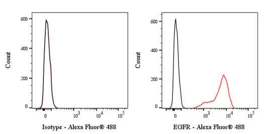 Alexa Fluor® 488 Mouse Anti-Human EGFR Antibody (528)