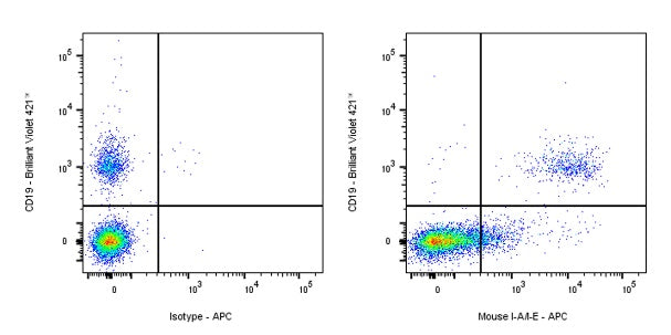 APC Rat Anti-Mouse I-A/I-E Antibody (M5/114.15.2)