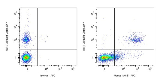 APC Rat Anti-Mouse I-A/I-E Antibody (M5/114.15.2)