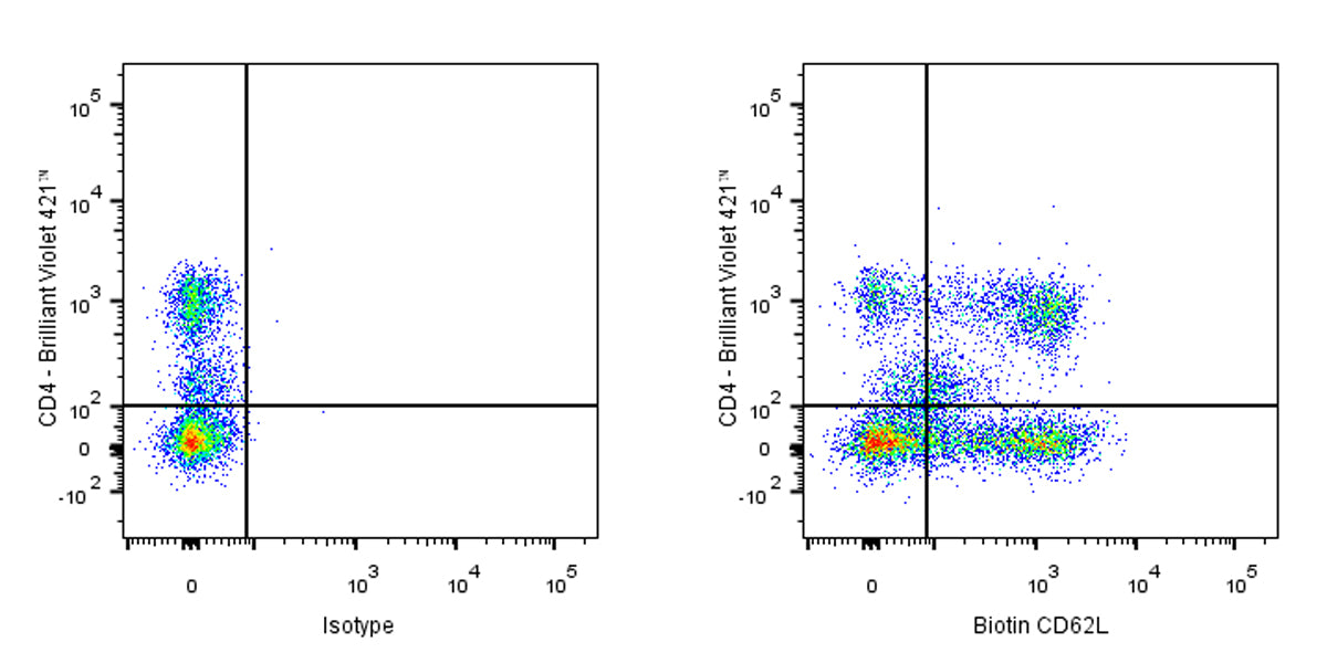 Biotin Mouse Anti-Human CD62L Antibody (S-937-77)