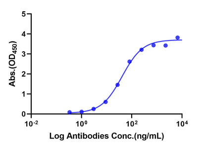 Anti-Human IFNAR1 Monoclonal Antibody (Anifrolumab)