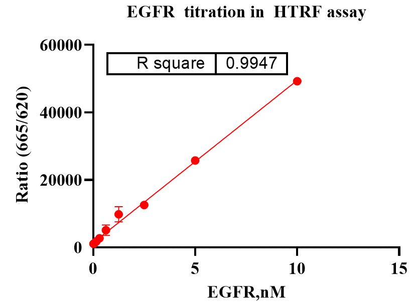 EGFR Protein
