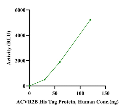 ACVR2B His Tag Protein, Human