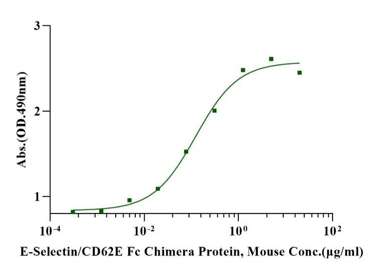 E-Selectin/CD62E Fc Chimera Protein, Mouse