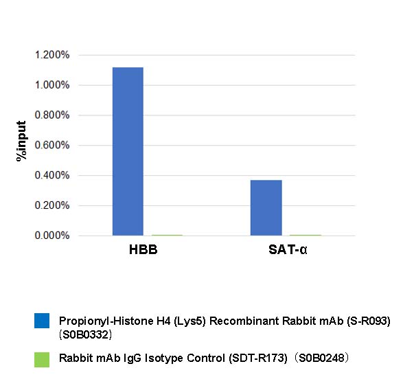 Propionyl-Histone H4 (Lys5) Recombinant Rabbit mAb (S-R093)