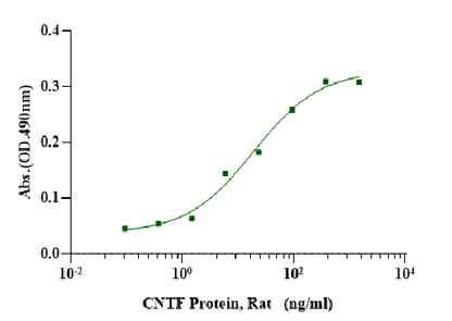CNTF Protein, Rat