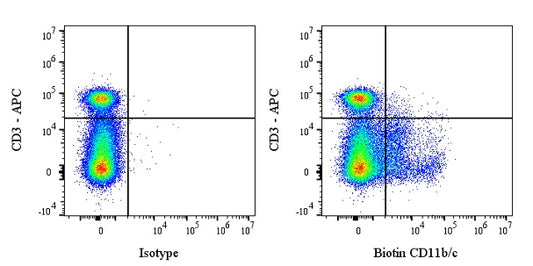 Biotin Mouse Anti-Rat CD11b/c Antibody (OX-42)