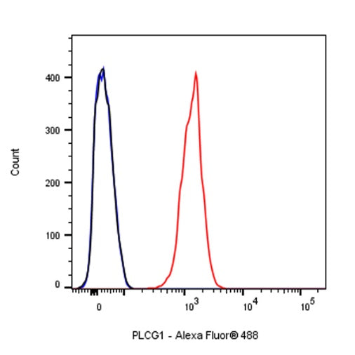 PLCG1 Recombinant Rabbit mAb (S-978-37)