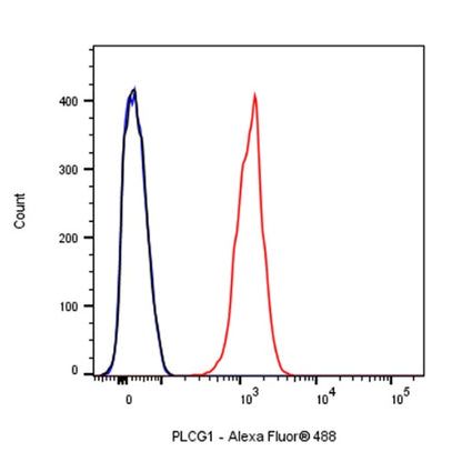 PLCG1 Recombinant Rabbit mAb (S-978-37)