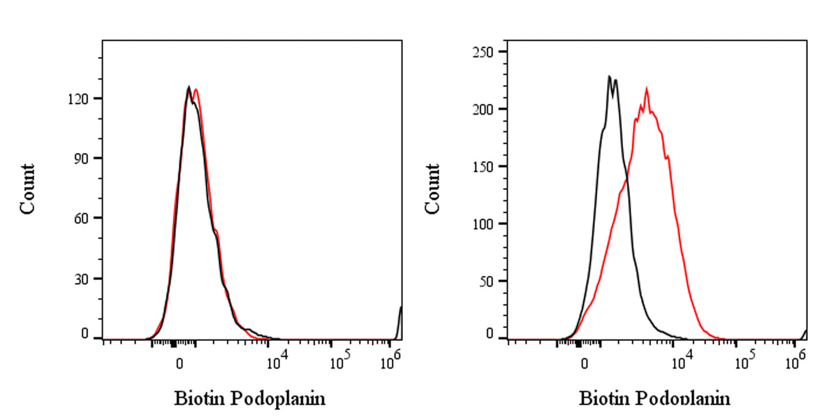 Biotin Rat Anti-Human Podoplanin Antibody (S-2796)