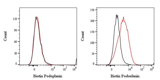 Biotin Rat Anti-Human Podoplanin Antibody (S-2796)