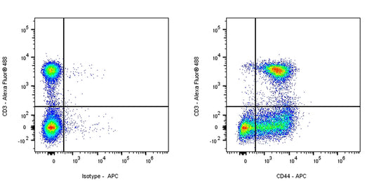 APC Mouse Anti-Rat CD44H Antibody (OX-49)