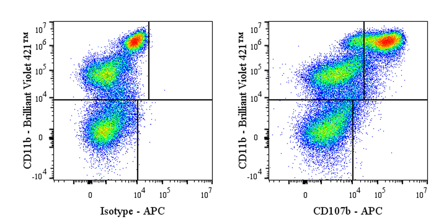 APC Rat Anti-Mouse CD107b Antibody (M3/84)
