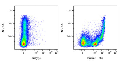 Biotin Rat Anti-Mouse/Human CD44 Antibody (IM7)