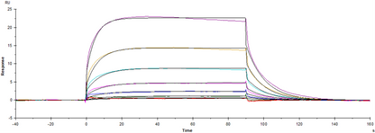 Fc γ RIIIa/CD16a(F176) His Tag Protein, Human