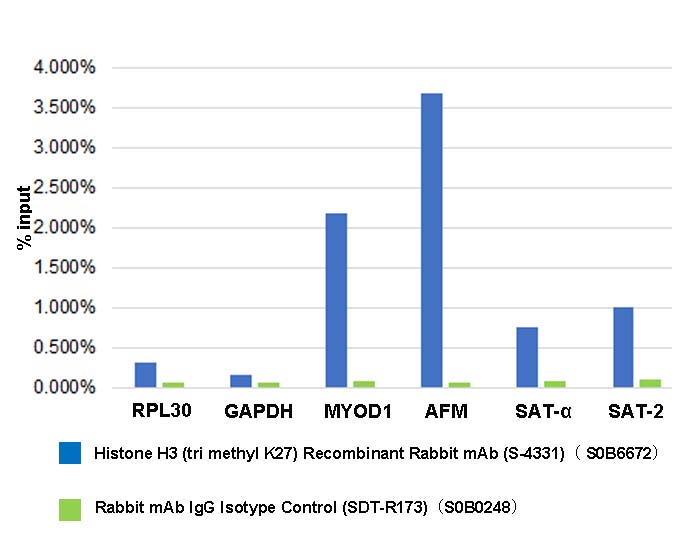 Histone H3 (tri methyl K27) Recombinant Rabbit mAb (S-4331)