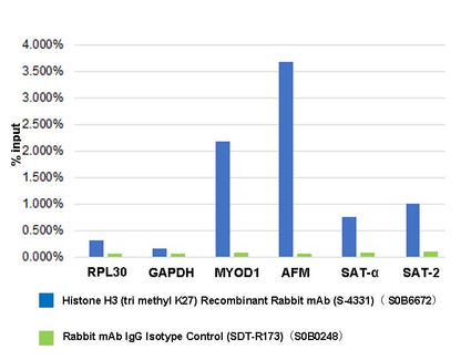 Histone H3 (tri methyl K27) Recombinant Rabbit mAb (S-4331)