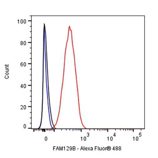 FAM129B Recombinant Rabbit mAb (S-1534-24)