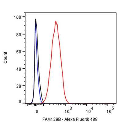 FAM129B Recombinant Rabbit mAb (S-1534-24)